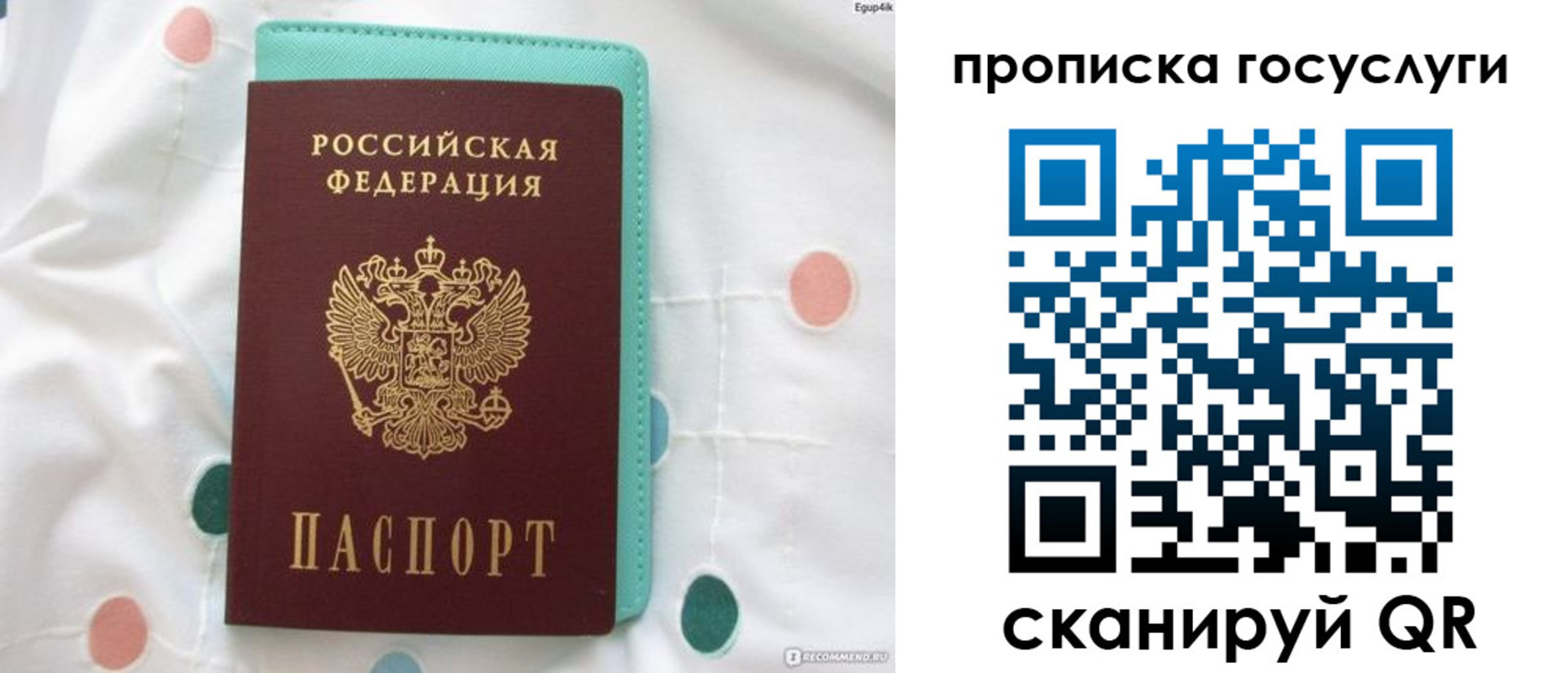 прописка поиск в Райчихинске